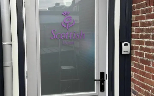 Scottish Thistle
