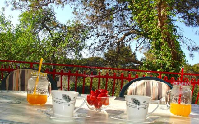 Apartment Branko Brodarica
