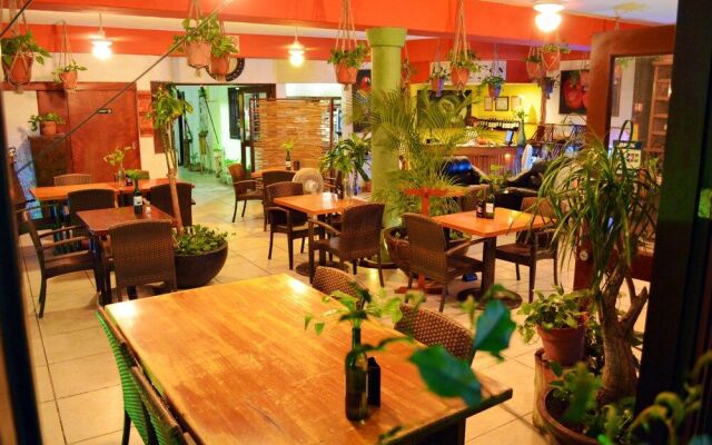 Hostel Natura