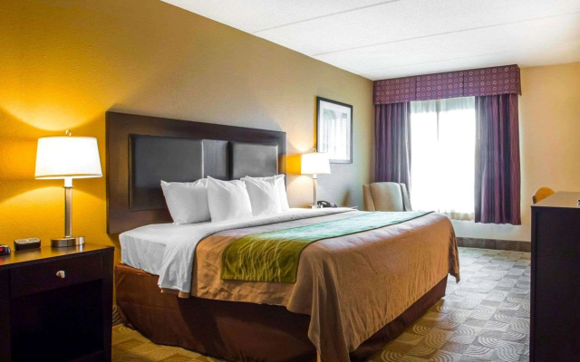 Comfort Inn Warner Robins - Robins Air Force Base Area