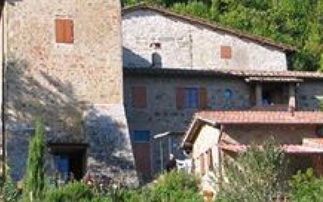 La Ghiandaia