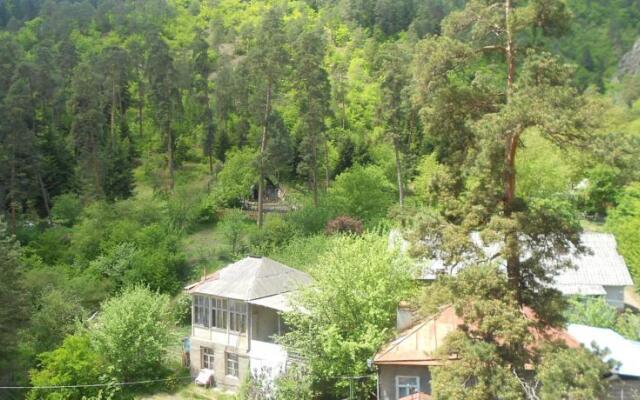 Apartment in Likani Borjomi