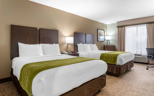 Comfort Inn Pearl-Jackson