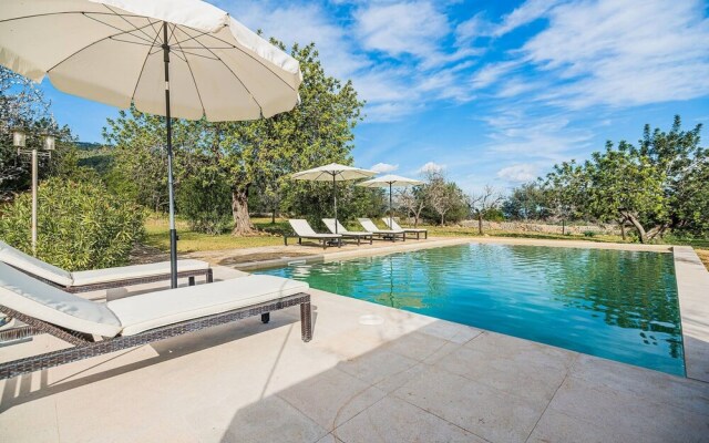 NEW 2020 - Empaltada