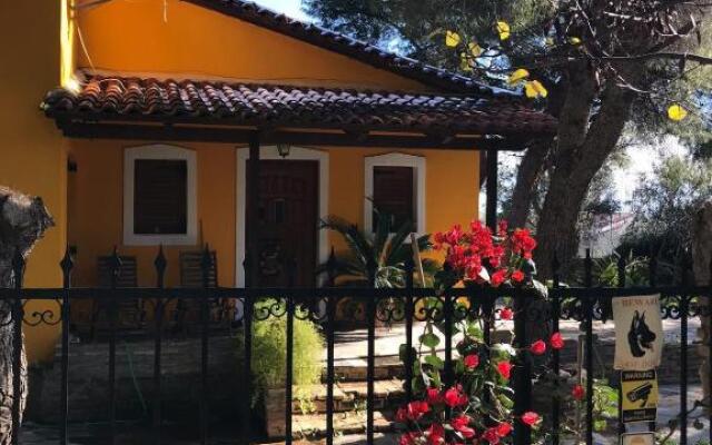 The Yellow House