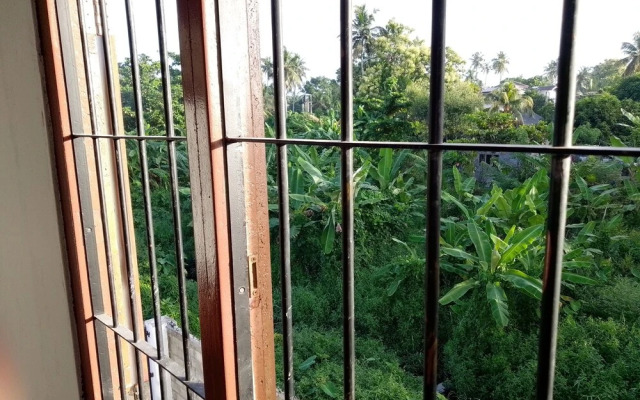 Tropical Suites