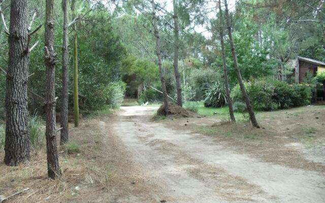 Patagonia Playa Cielo