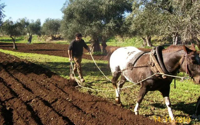 Agriturismo Armienti