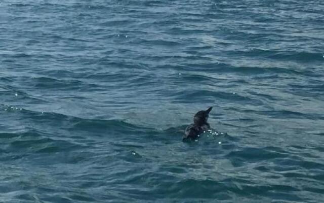 Pousada Colonial Ubatuba