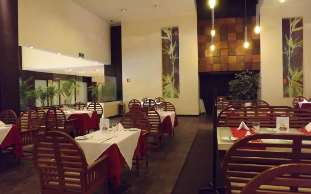 Royal Pedregal Hotel