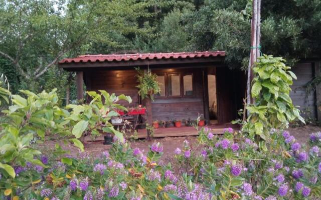 O Cantinho de Coura - a cabana