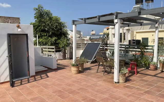 Stylish Art House Palmeti
