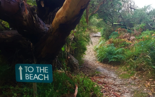 Sandpiper Ocean Cottages