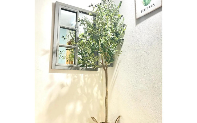 Peregrina Blue Family Suite