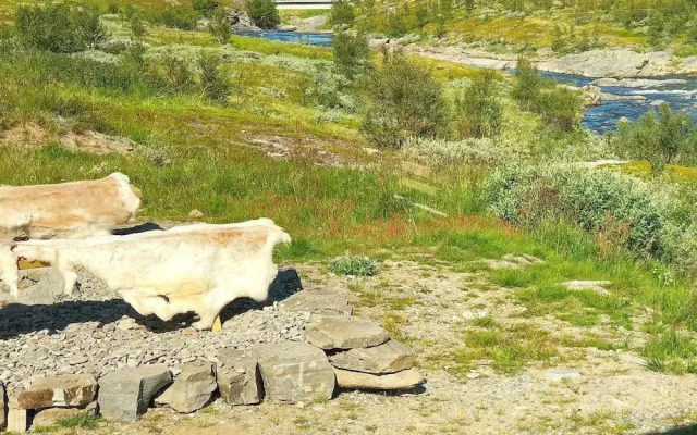 Holiday Home in Kokelv