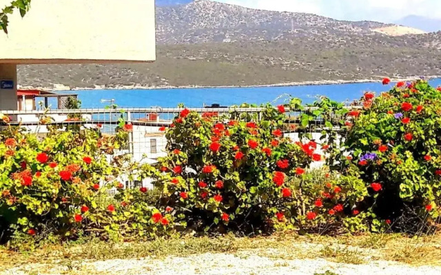 Elia - seaside place