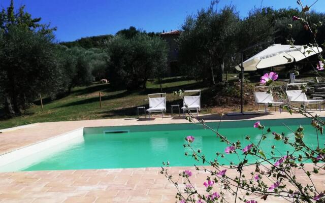 Amandula 6 in Castel del Piano