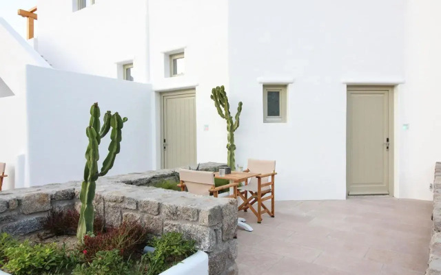 Mykonos Cactus