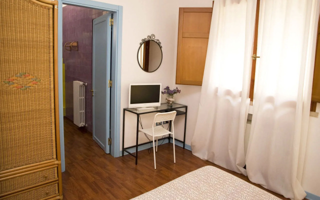 All'ombra del palmeto