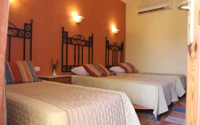 Protels Beach Club & SPA