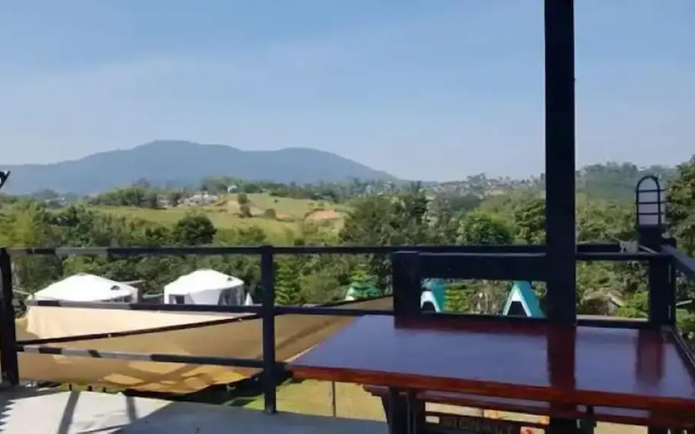 Yellowstone Cheewa View