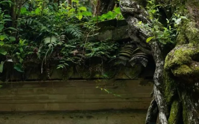 Tiantai Shanqing Homestay