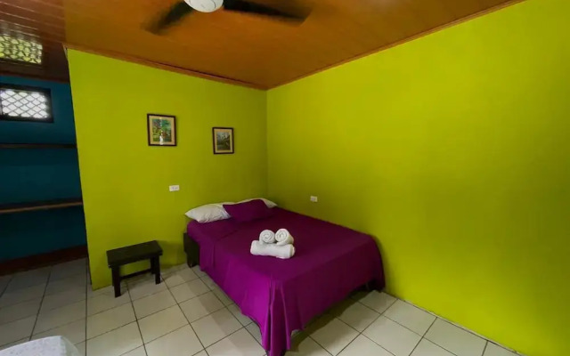 Los Amigos Jungle Hotel Tortuguero