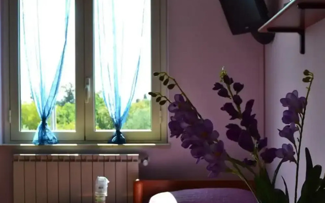 Yellow Room - B b S Elia