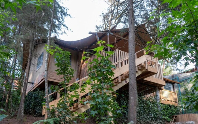 Pistache Incredible Lodge in the Forest With Private Jacuzzi