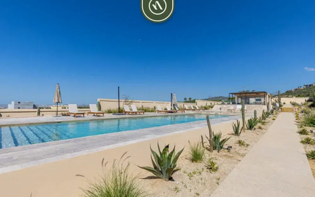 Mistiq in Cabo San Lucas BCS