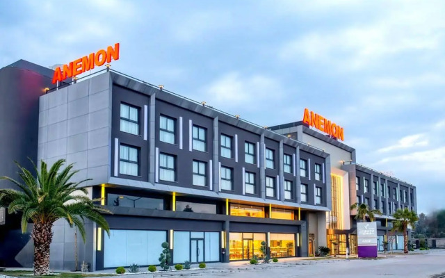 Anemon Aydın