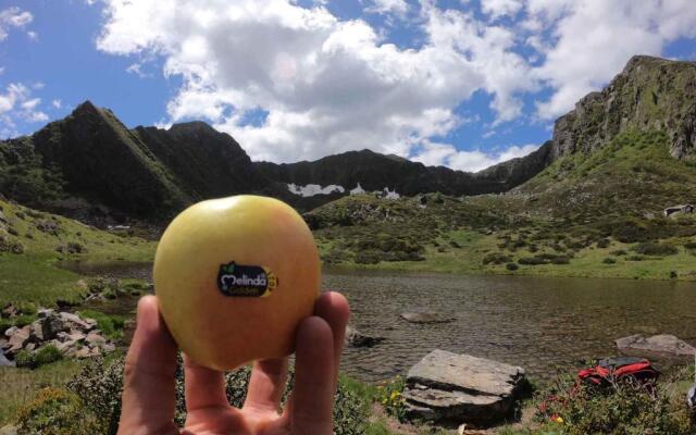 Apartment in NOVELLA 41460