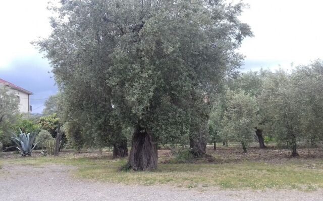 B&B Oliveto Longo