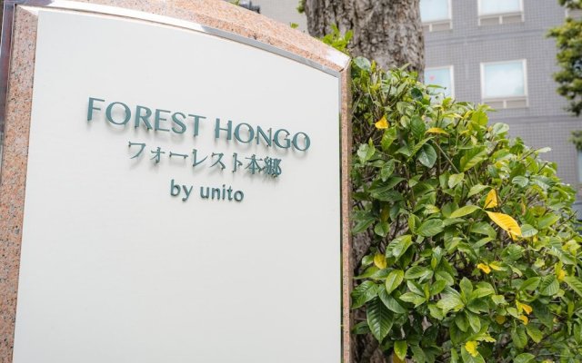 Forest Hongo By Unito