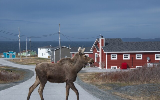 Jenny's Runestone House B&B