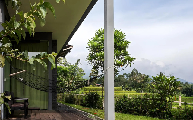 Tea Garden Resort
