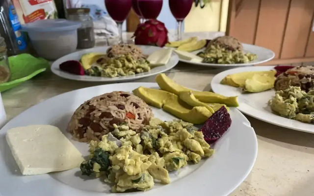 Birds & Breakfast