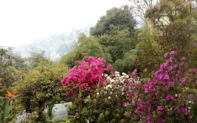 Cherry Guest House