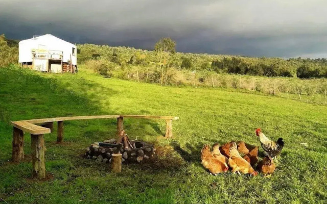 Yurt in Puyehue with Volcano Views