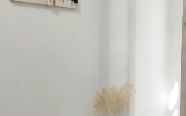 Lorenzo's Bed & Surf Apartment