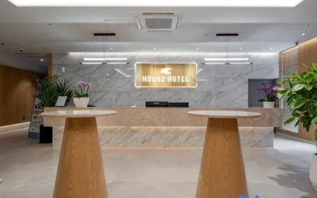 The hound hotel bandalseom2