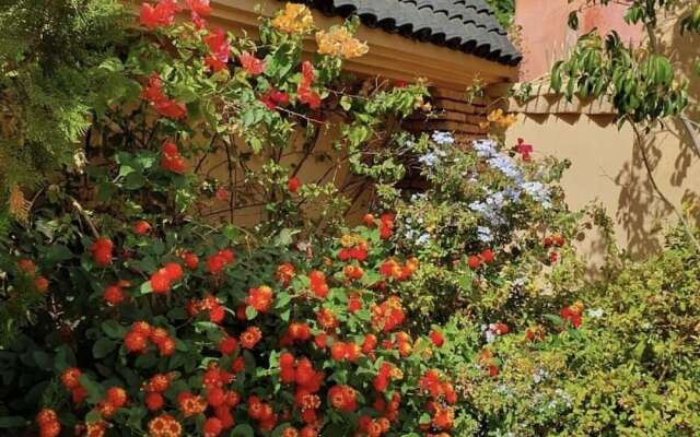 Riad Zouhour