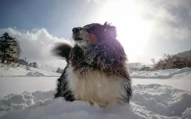 Sports Hotel SILVER SHIGA