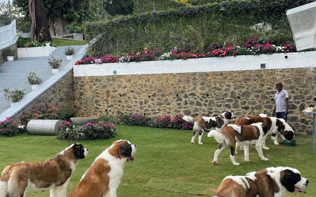 Benito Bungalow by The Serendipity Collection