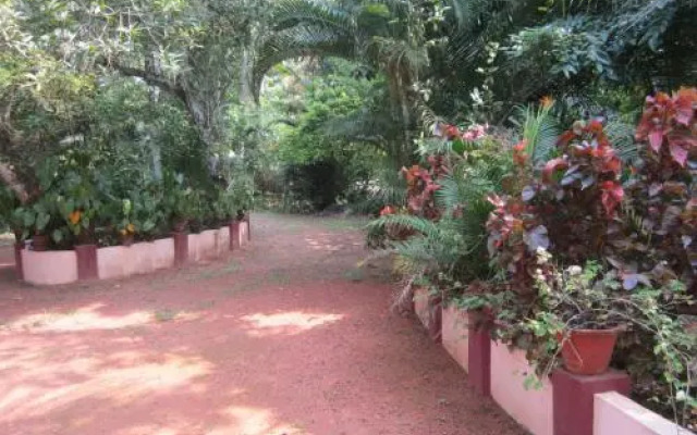 GK`s Riverview Homestay
