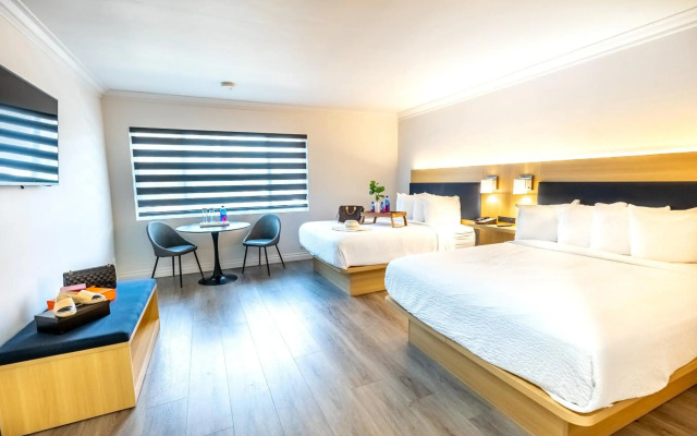 The Live Hotel