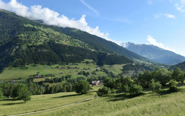 Cozy Stay Near Aletsch