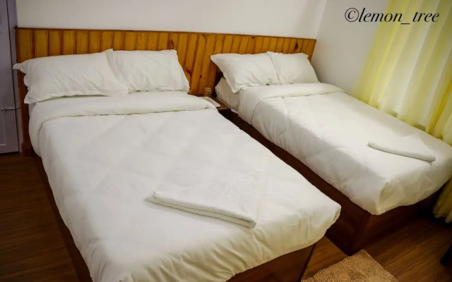 Lemon Tree Apartment and Homestay