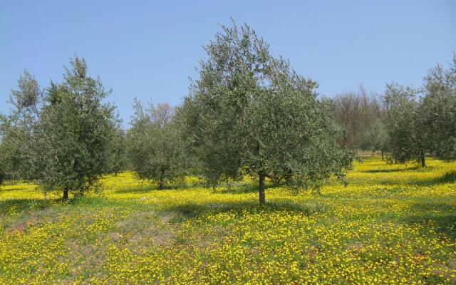 B&B Paglia e Fieno