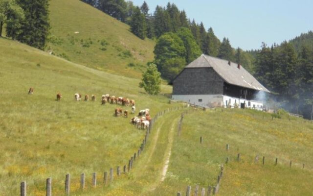 Gästehaus Poldi